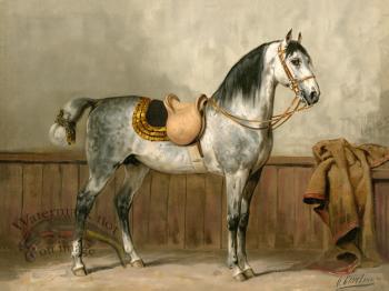 Lippizaner Horse by Eerelman